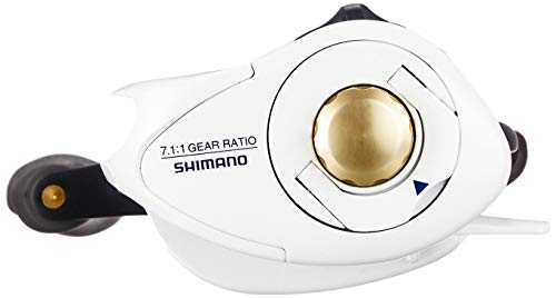 SHIMANO Black porgy and rockfish reel, double-axis