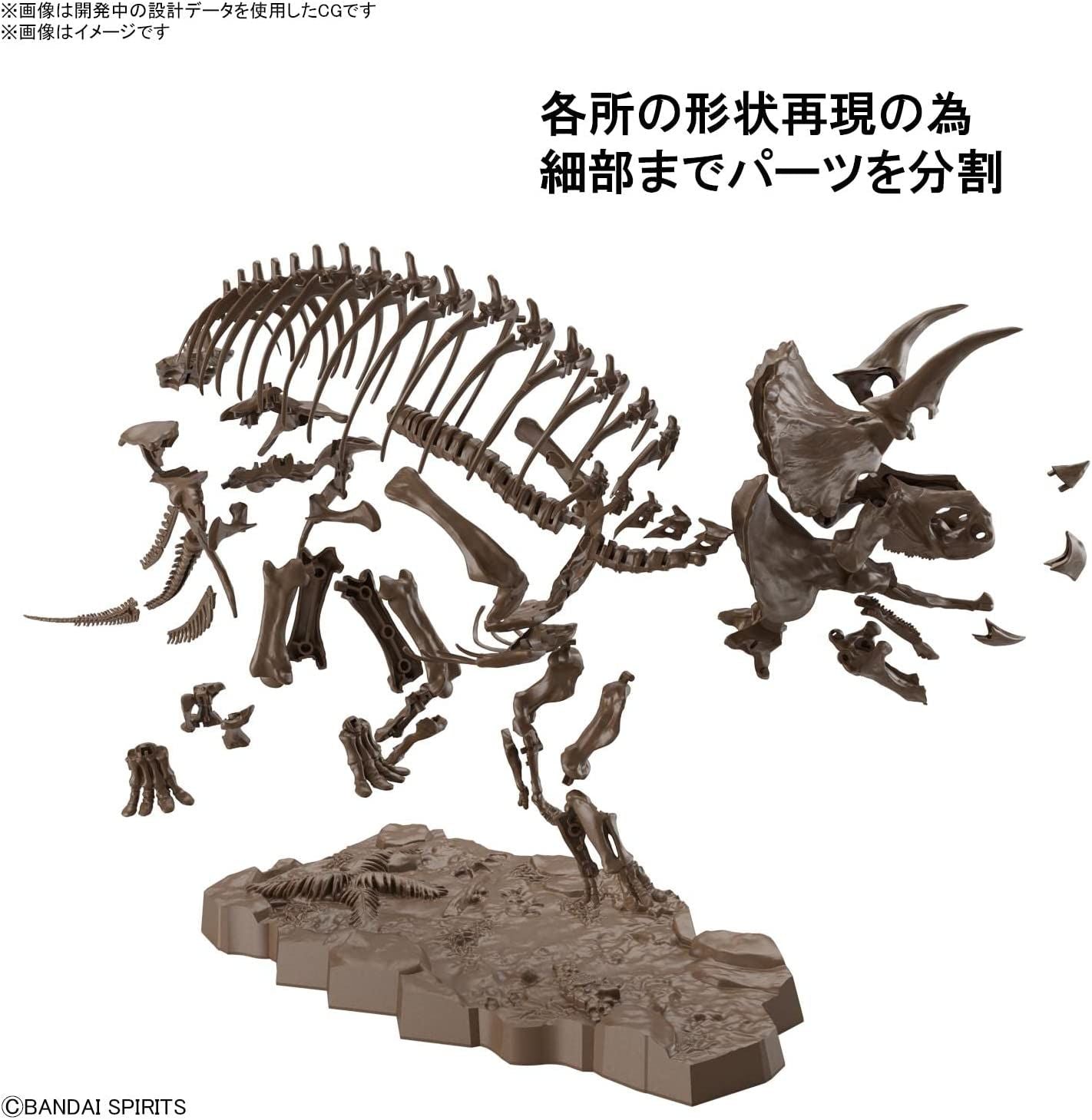 Bandai Imaginary Skeleton Triceratops 1/32 Scale Plastic Model - BanzaiHobby