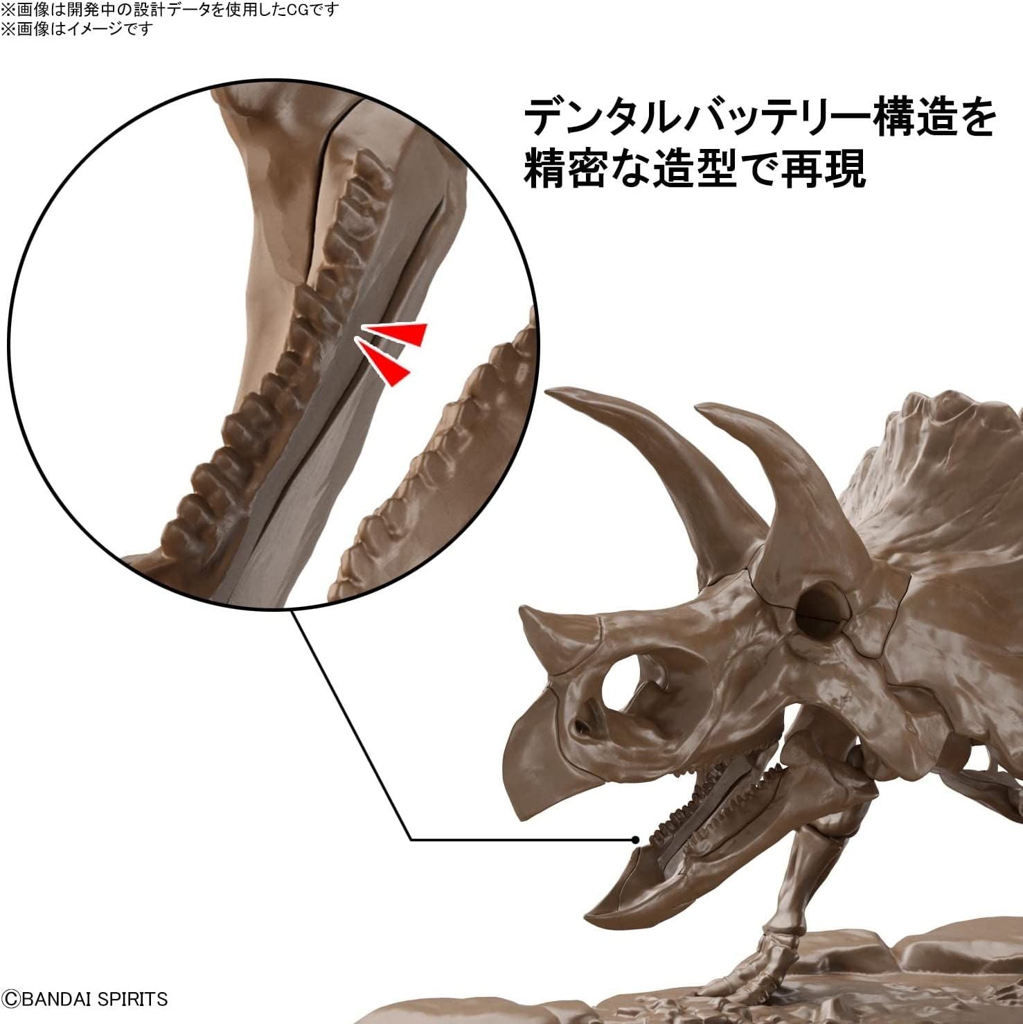 Bandai Imaginary Skeleton Triceratops 1/32 Scale Plastic Model - BanzaiHobby