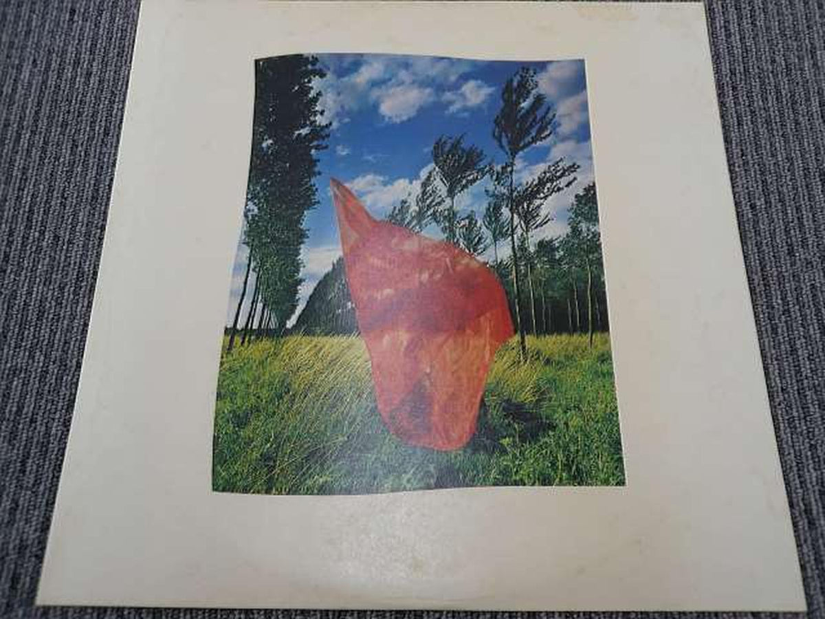 CBS SONY Japanese Music PINK FLOYD WISH YOU WERE HERE