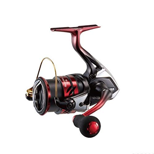 SHIMANO Spinnrolle Egging 19 Sephia SS C3000S - BanzaiHobby