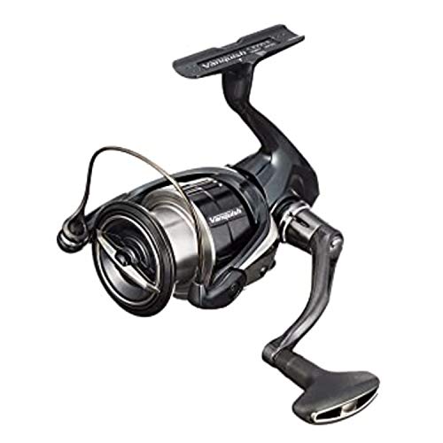 SHIMANO Spinnrolle 19 Vanquish 4000MHG Sea Bass Sakuramasu Light Jigging - BanzaiHobby