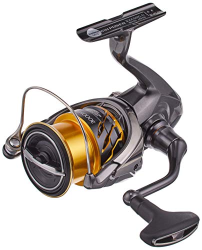 SHIMANO Spinnrolle 20 Twin Power 3000MHG Seabass Sakuramas - BanzaiHobby