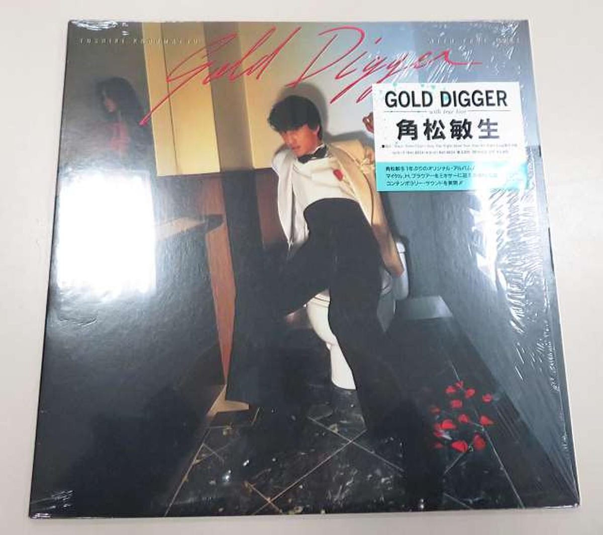 RVC Corporation Toshiki Kadomatsu GOLD DIGGER RAL-8824