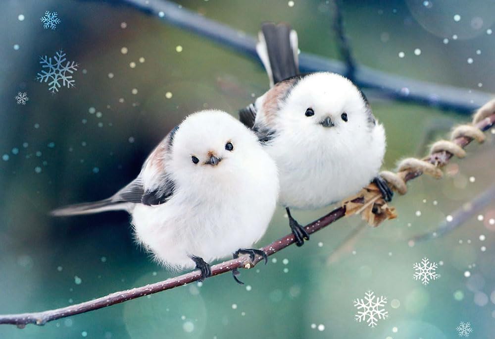 Beverly ３００－０６１Fluffy long-tailed tit Animal Puzzle