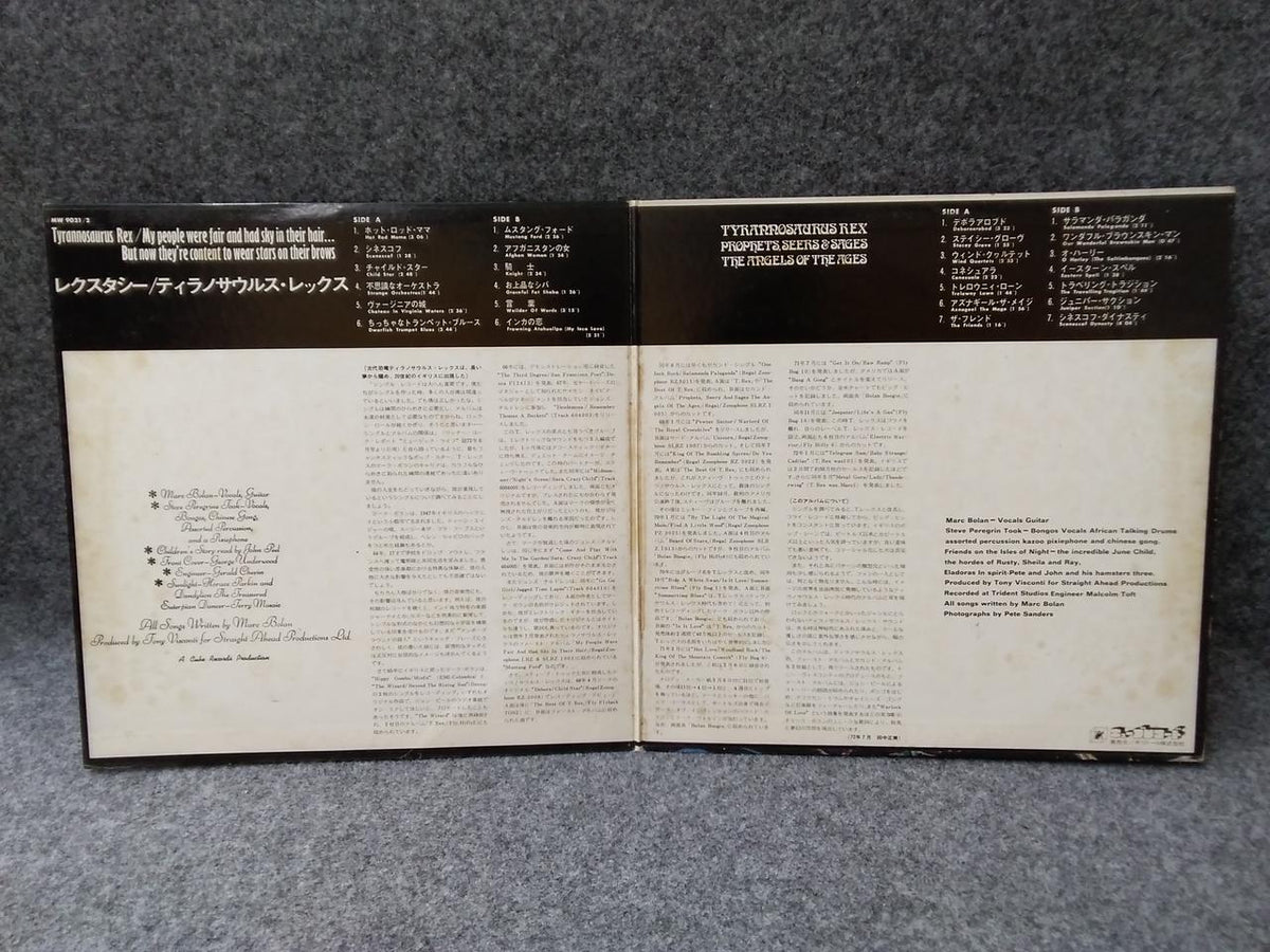 CUBE Record: Tyrannosaurus Rex/Lexstasy