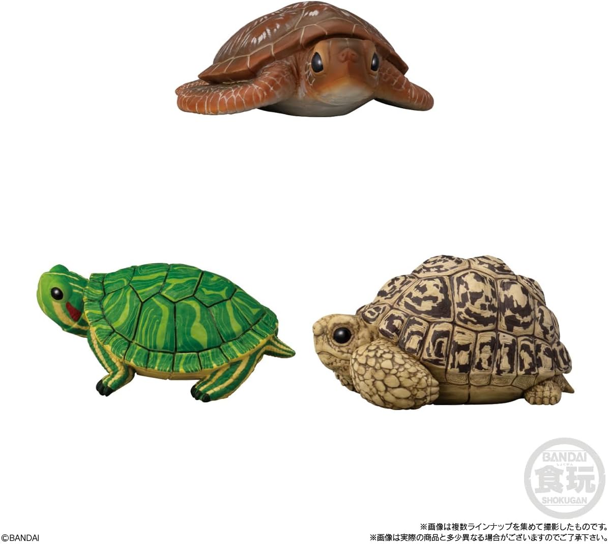 Bandai Tenori Friends 11 -Reptiles/Amphibians- (Set of 12)