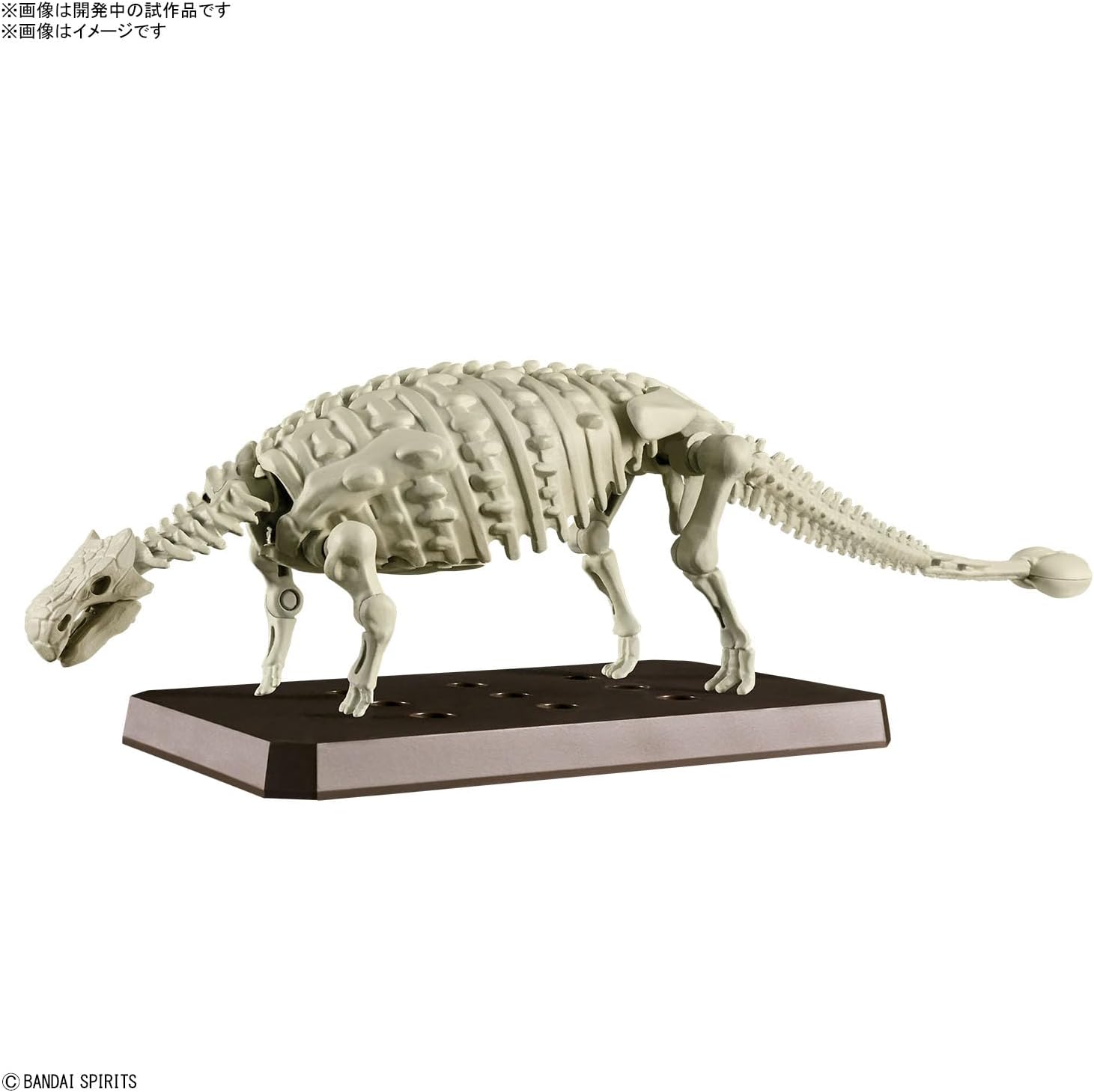 Bandai Planosaurus Ankylosaurus Color - BanzaiHobby