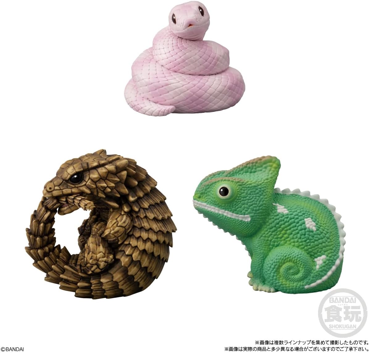 Bandai Tenori Friends 11 -Reptiles/Amphibians- (Set of 12)