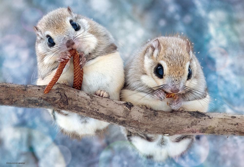 Beverly ３００－１０２Munching Siberian flying squirrel Puzzle