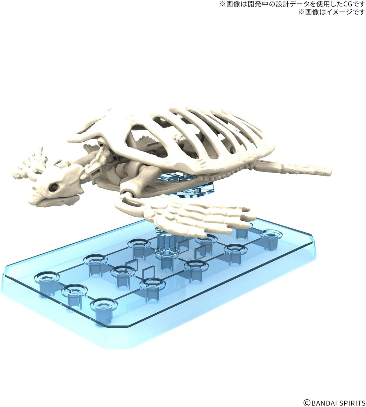 Bandai Planosaurus 09 Archelon