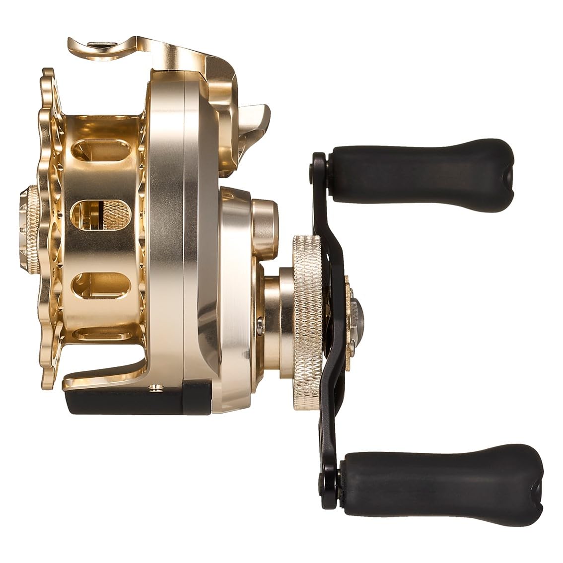 ダイワ(DAIWA) イカダリール ２５ＢＪイカダ６５Ｌ