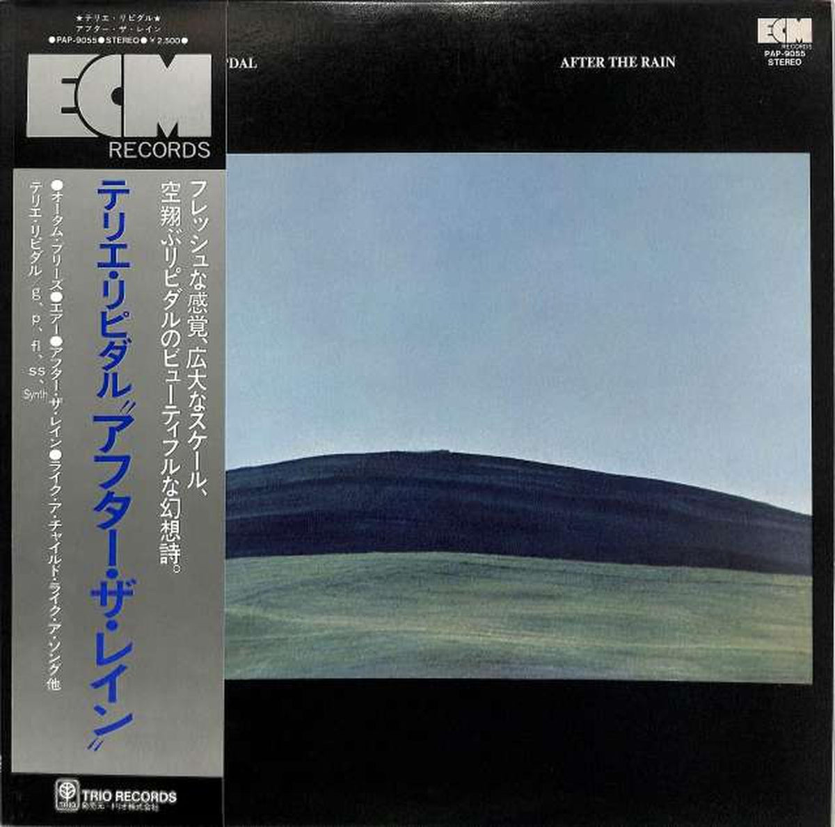 trio Terje Lipidal "After the Rain" PAP-9055