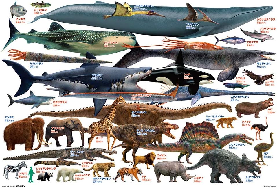 Beverly Ｌ７４－１８４Masato Hattori Let's compare giant creatures! Puzzle