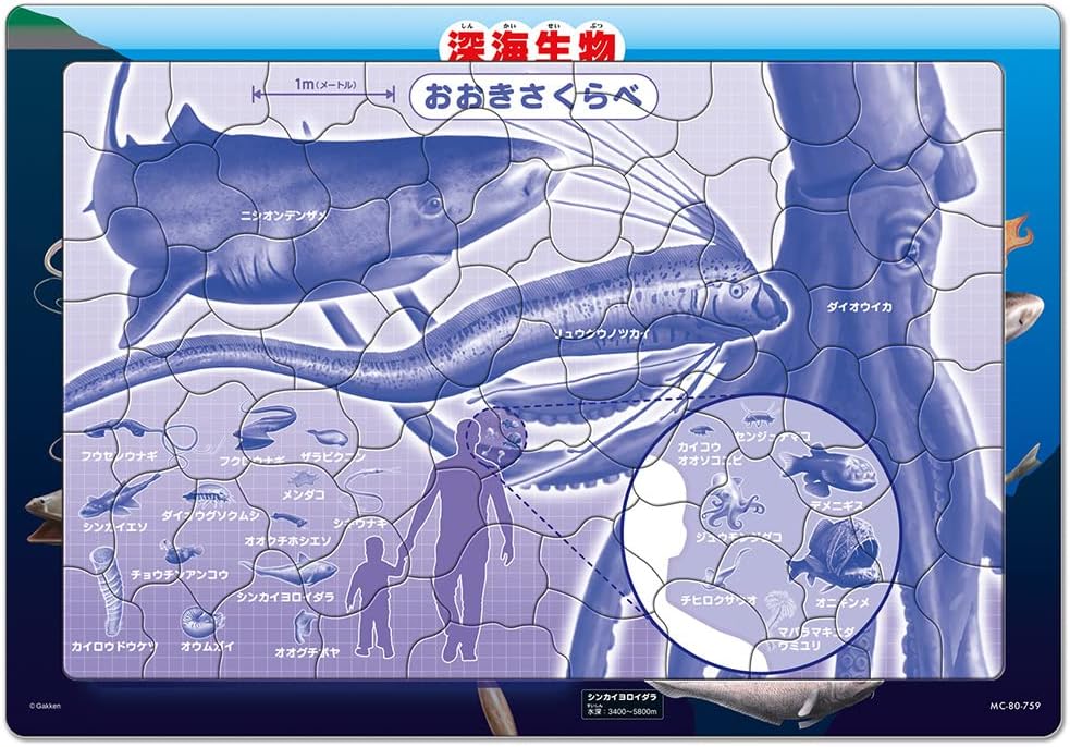 Tenyo ＭＣ－８０－７５９ Deep-sea Creatures Encyclopedia (Gakken Encyclopedia LIVE)