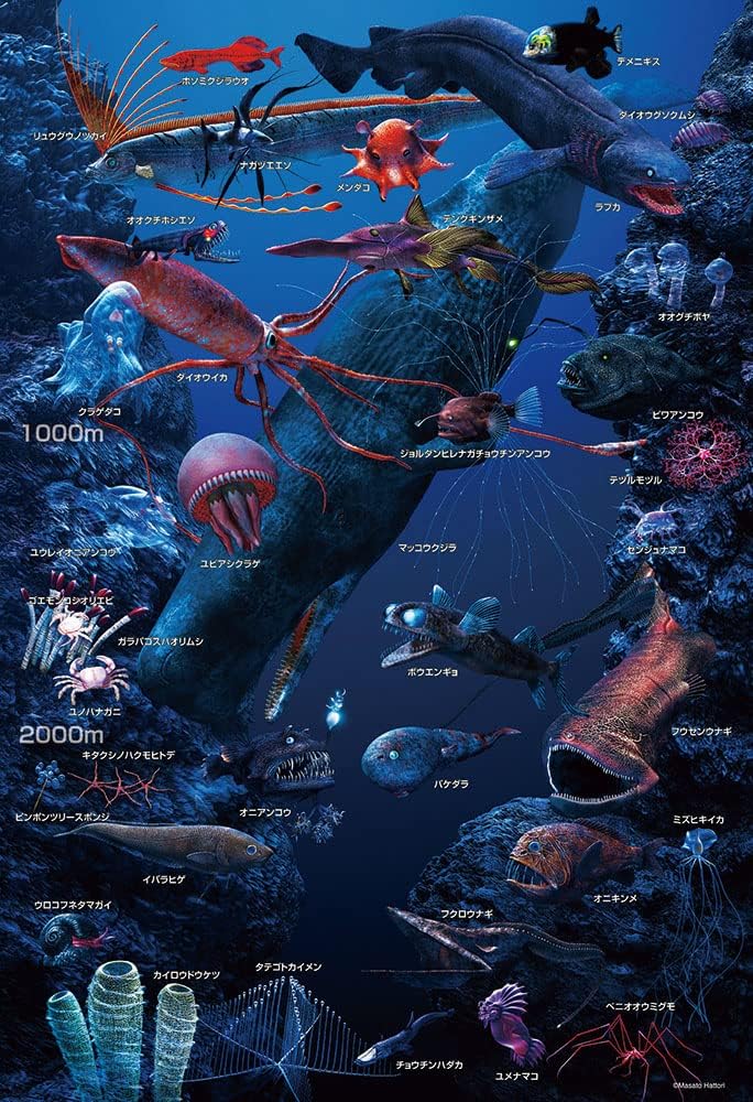 Beverly Ｌ７４－１９１Let's learn about deep sea creatures! Puzzle