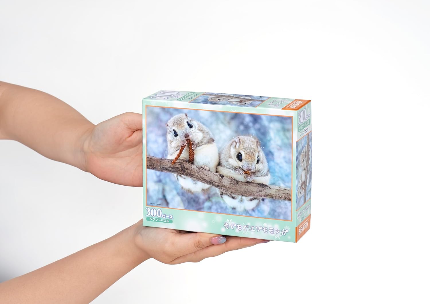 Beverly ３００－１０２Munching Siberian flying squirrel Puzzle