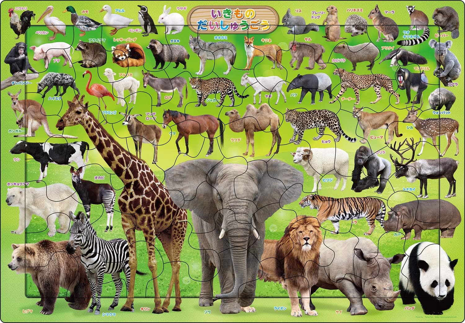 Epoch ２５－２３０ Living creatures collection Puzzle