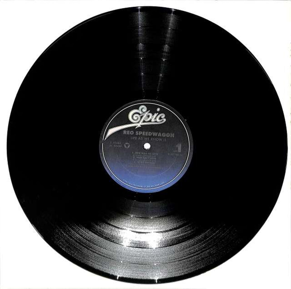 EPIC REO Speedwagon 'LIFE AS WE KNOW IT' FE40444