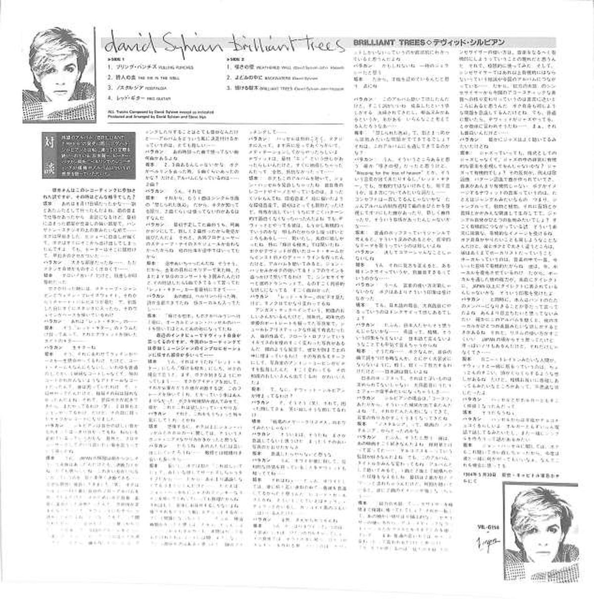 Victor David Sylvian "Brilliant Trees" VIL-6114