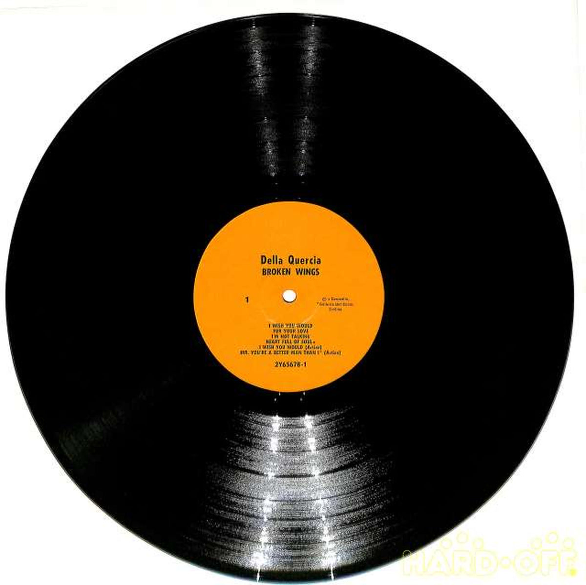 Della Quericia (imported) Yardbirds 'Broken Wings' 2Y-75627