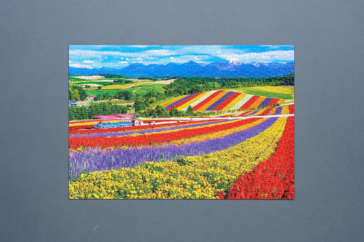 Beverly １０００Ｍ－０１４Biei's flower-blooming hills, landscape, Japan Puzzle