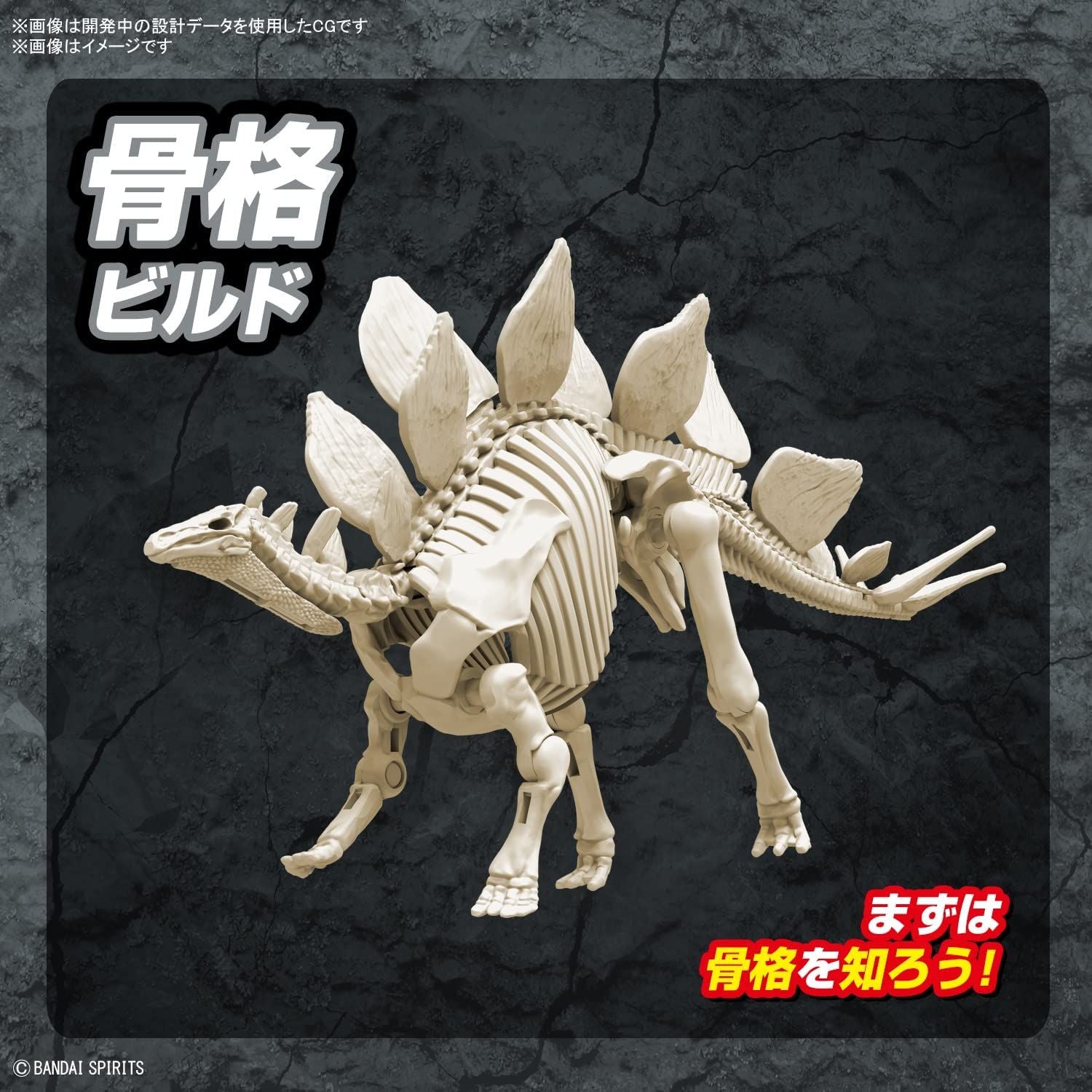 Bandai 03 STEGOSAURUS - BanzaiHobby