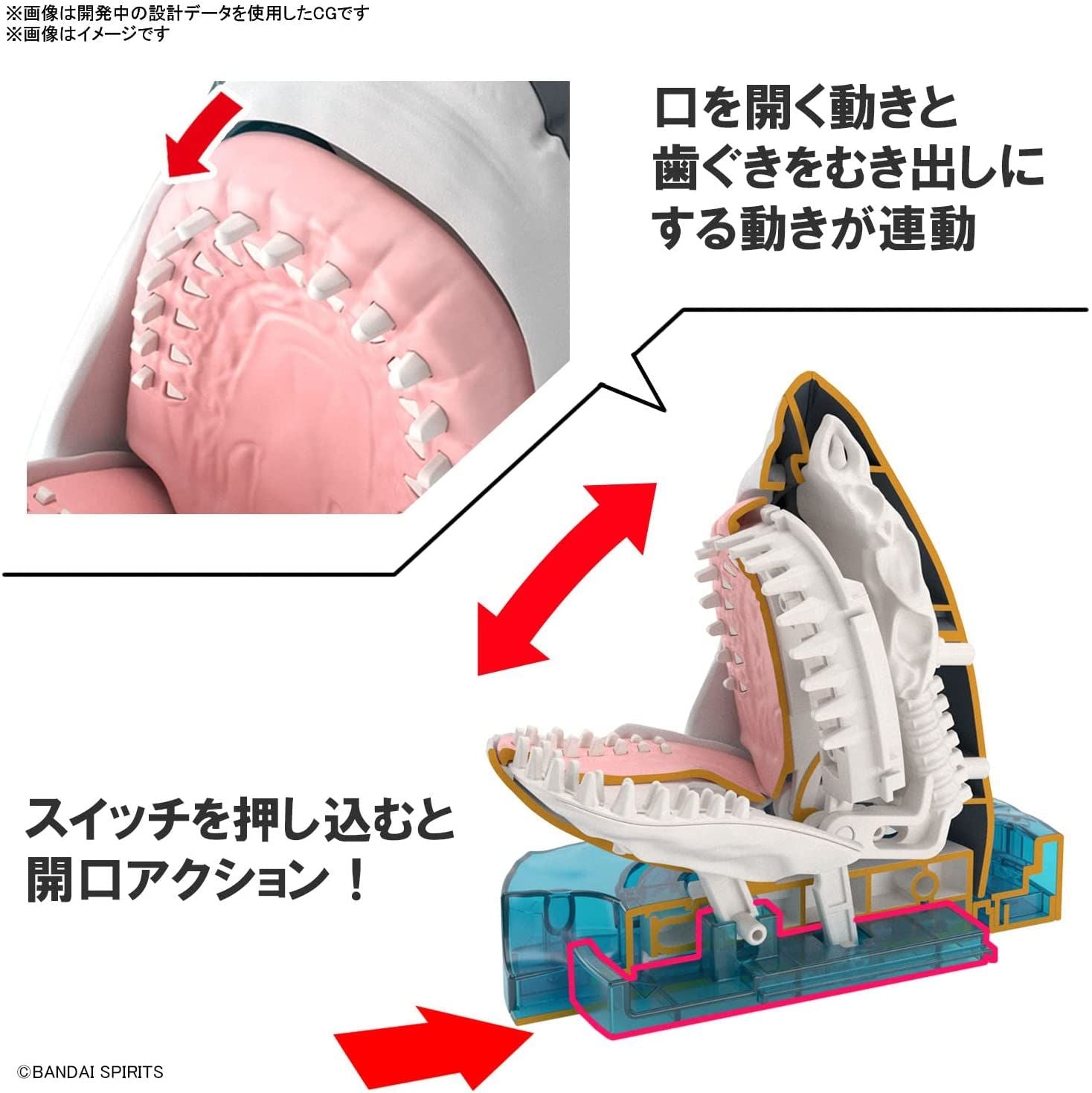 Bandai Exploring Lab Nature White Shark Color Coded Plastic Model - BanzaiHobby