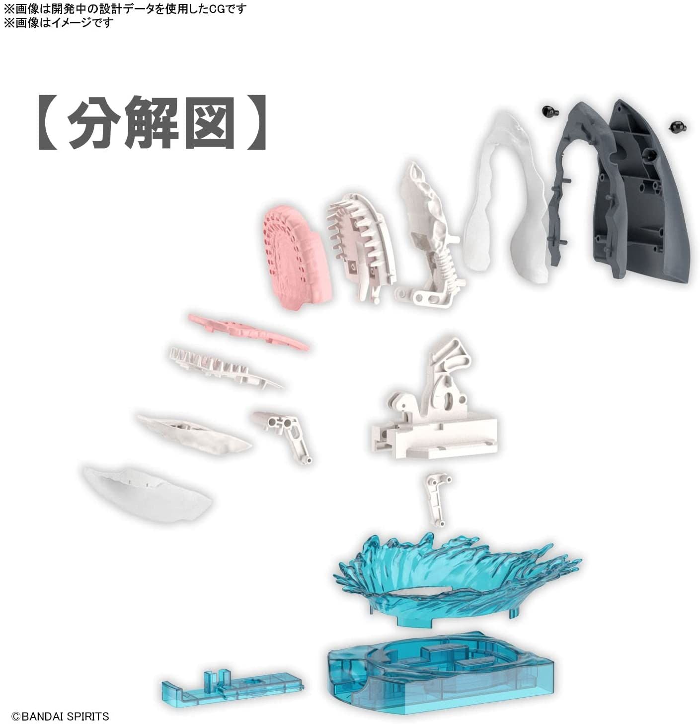 Bandai Exploring Lab Nature White Shark Color Coded Plastic Model - BanzaiHobby