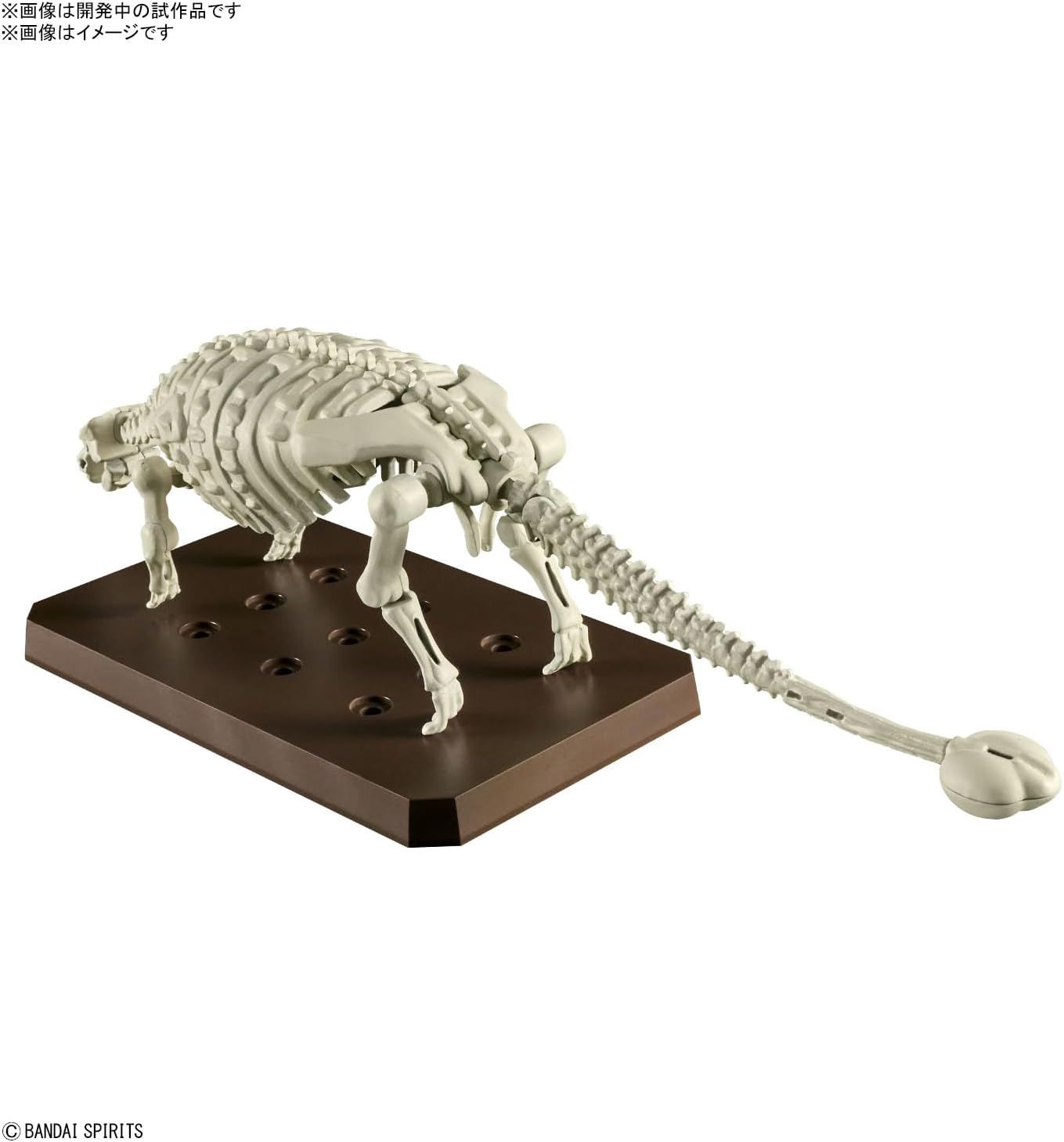 Bandai Planosaurus Ankylosaurus Color - BanzaiHobby