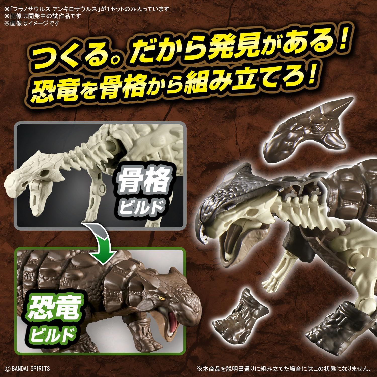 Bandai Planosaurus Ankylosaurus Color - BanzaiHobby