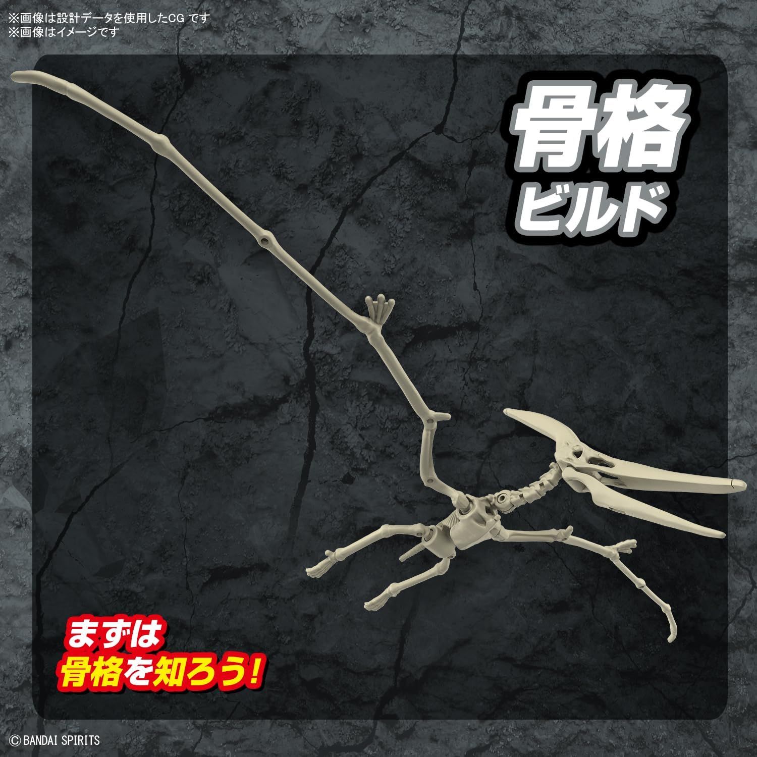 Bandai Planosaurus Pteranodon - BanzaiHobby