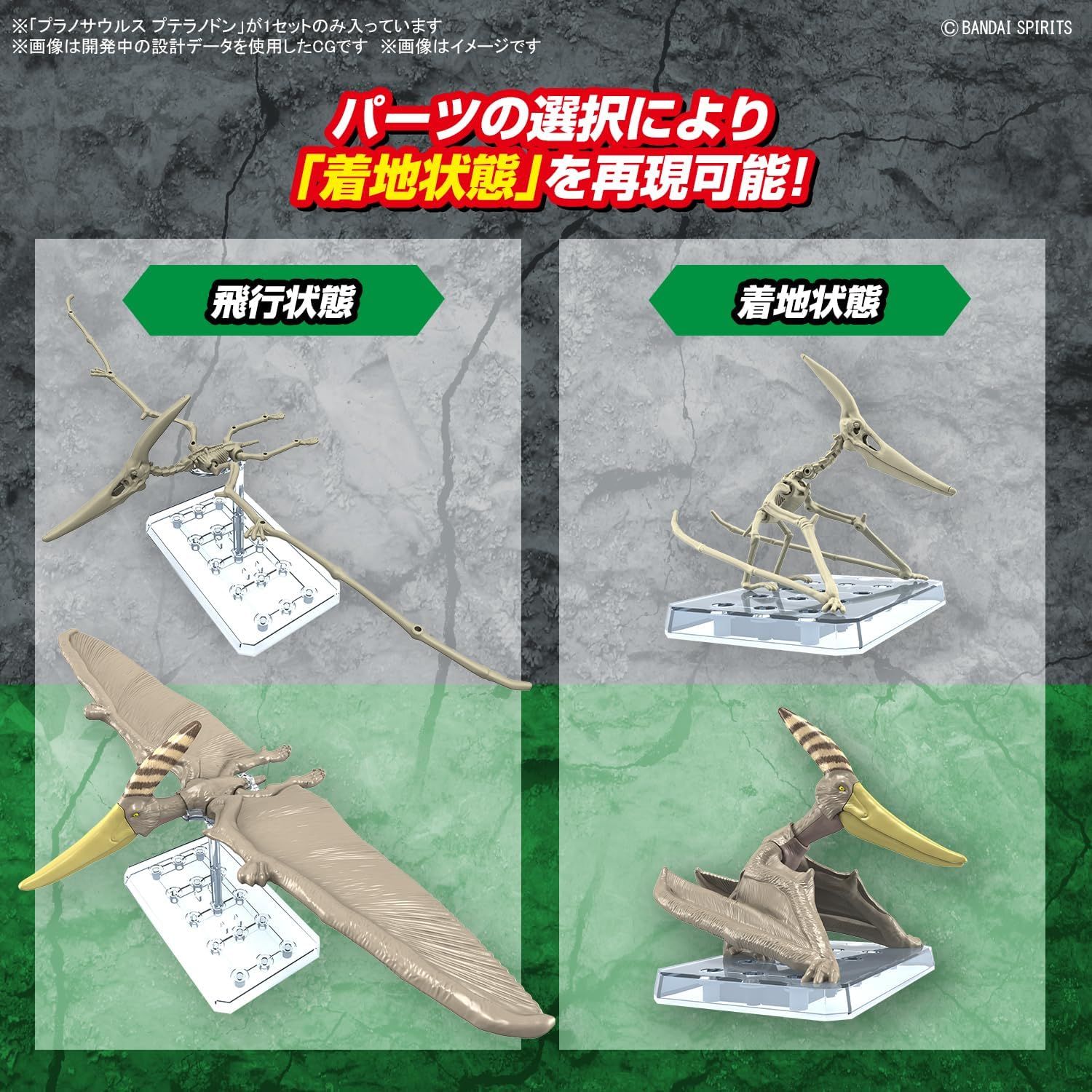 Bandai Planosaurus Pteranodon - BanzaiHobby