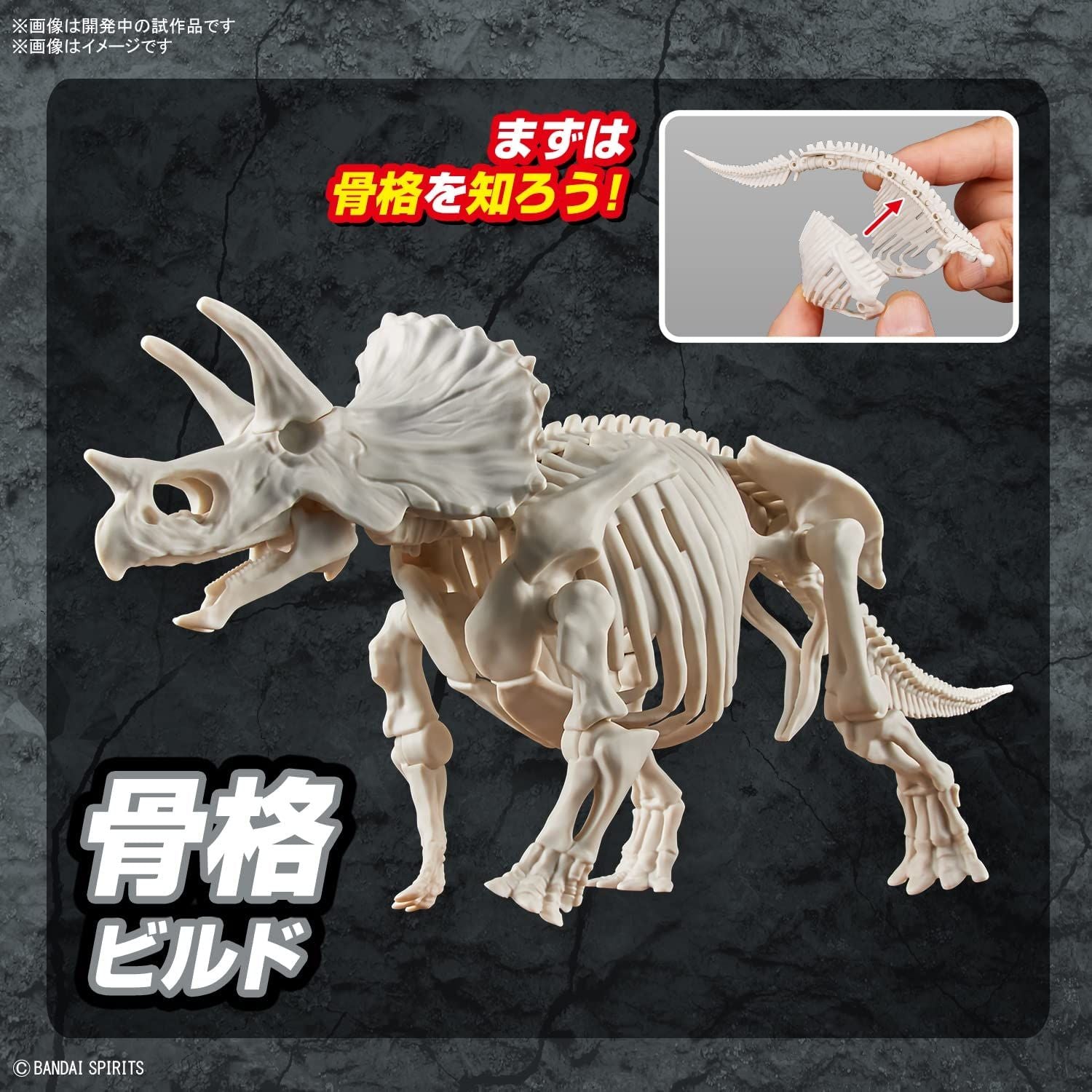 Bandai Planosaurus Triceratops Color Coded Plastic Model - BanzaiHobby