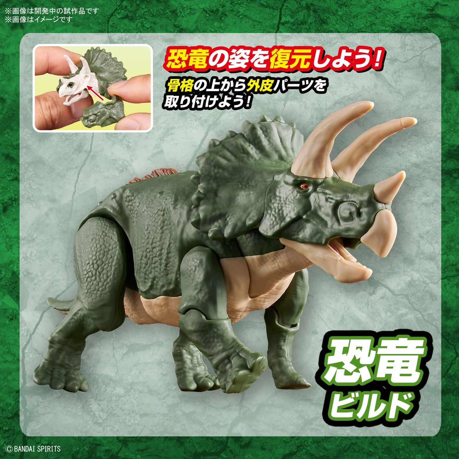 Bandai Planosaurus Triceratops Color Coded Plastic Model - BanzaiHobby