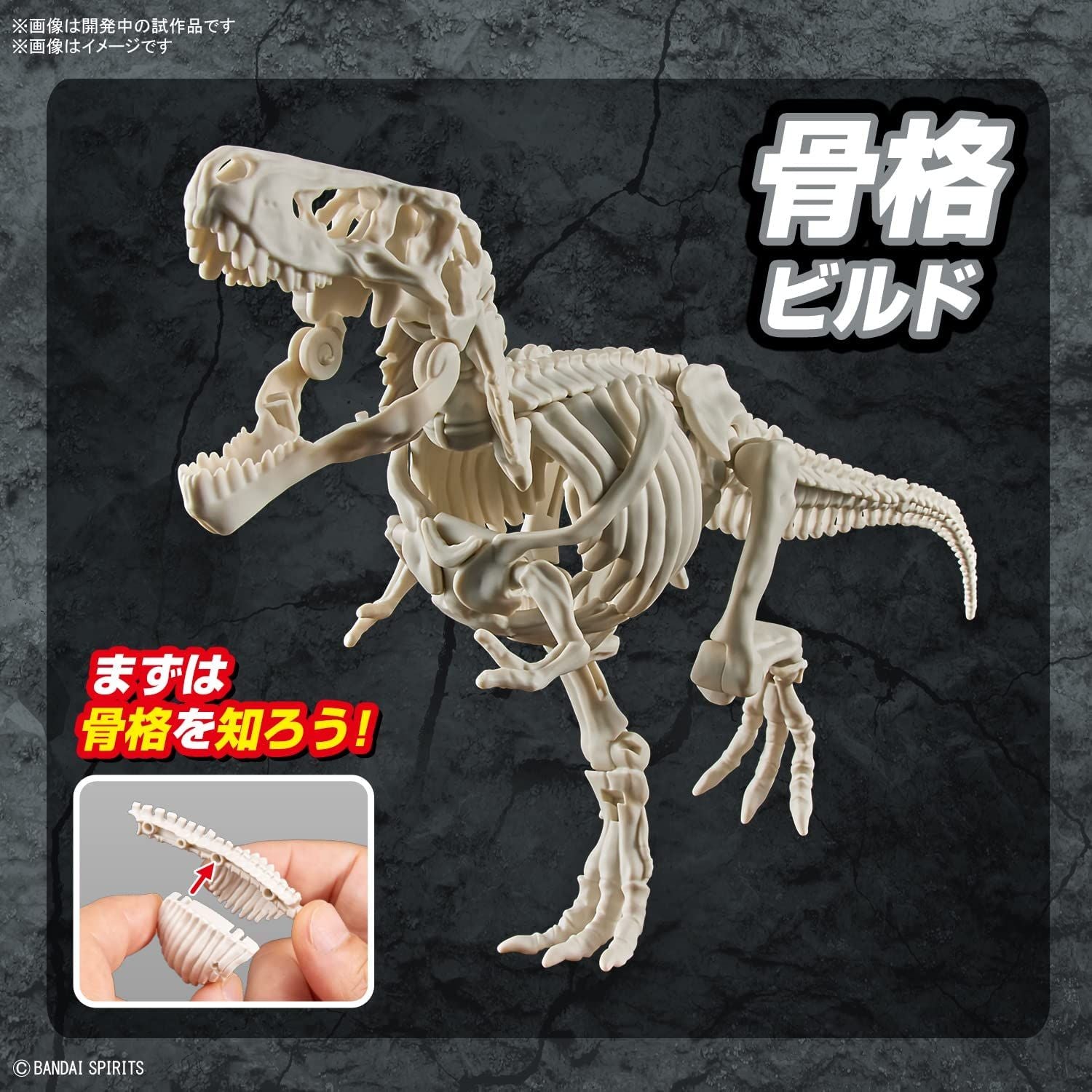 Bandai Planosaurus Tyrannosaurus Color Coded Plastic Model - BanzaiHobby