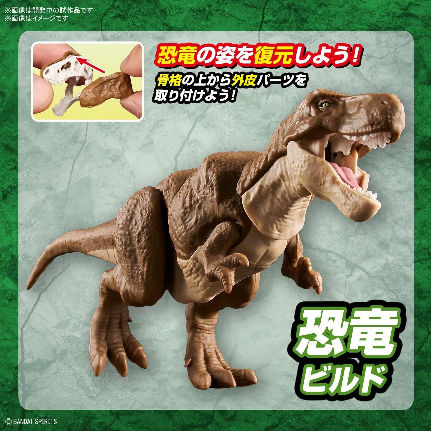 Bandai Planosaurus Tyrannosaurus Color Coded Plastic Model - BanzaiHobby