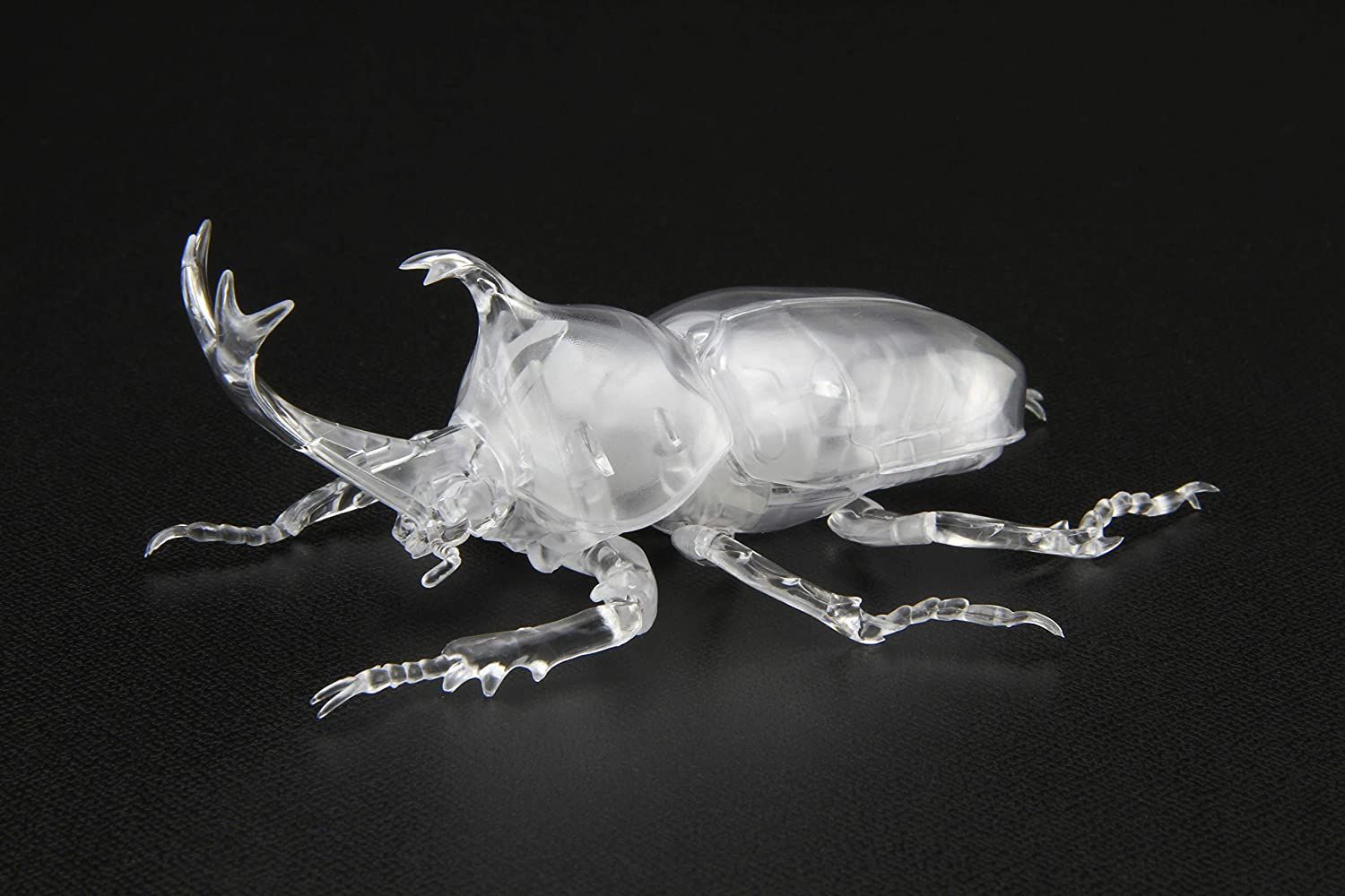 Fujimi Biology Edition Beetle (Clear) - BanzaiHobby