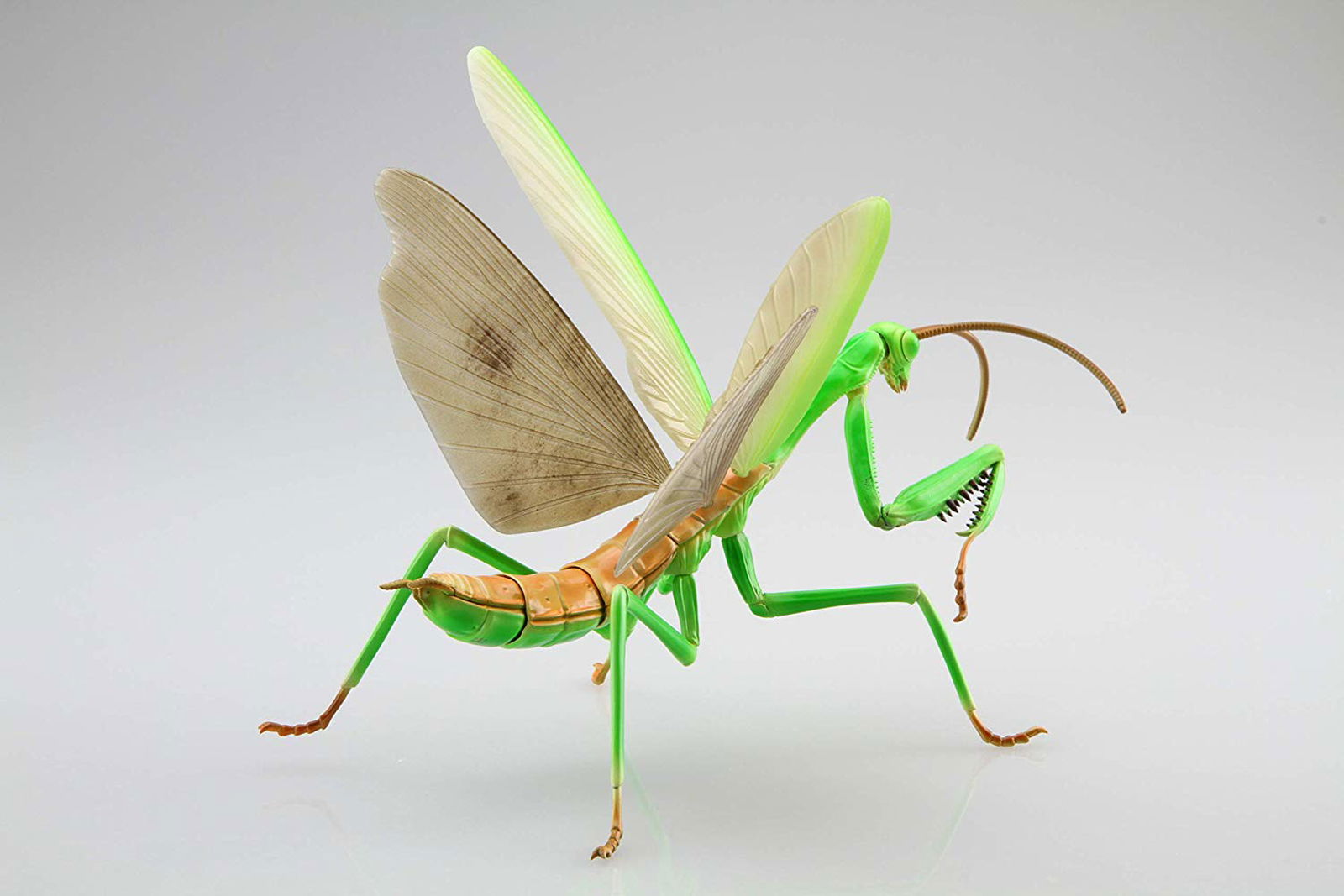 Fujimi Biology Edition Big Mantis - BanzaiHobby