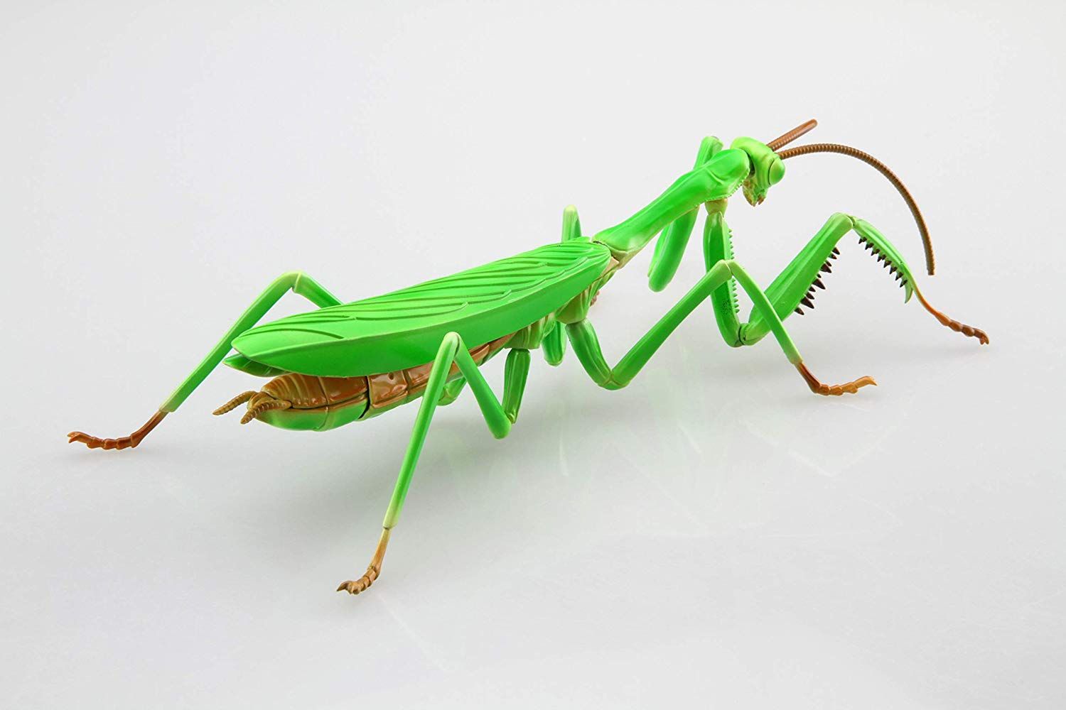 Fujimi Biology Edition Big Mantis - BanzaiHobby