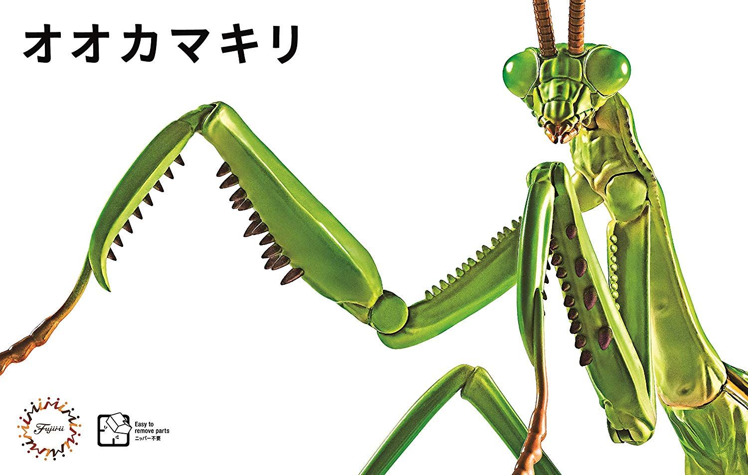 Fujimi Biology Edition Big Mantis - BanzaiHobby