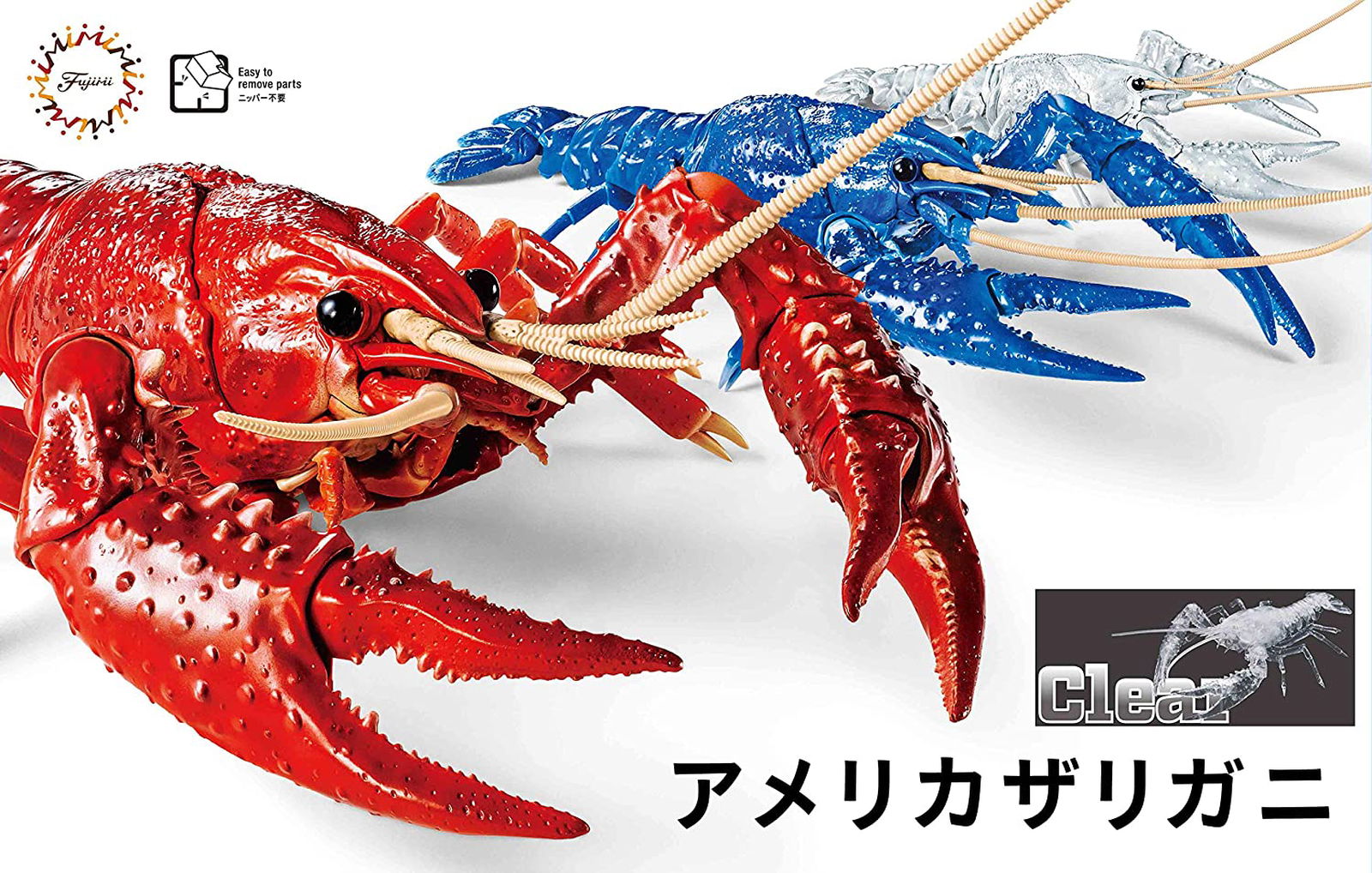 Fujimi Biology Edition Crayfish (Clear) - BanzaiHobby