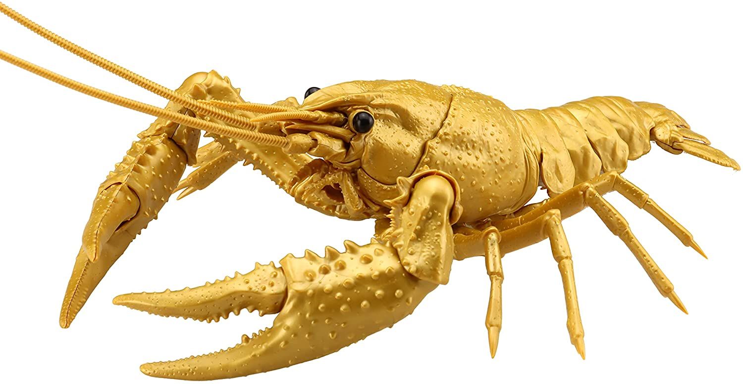 Fujimi Biology Edition Crayfish (Gold) - BanzaiHobby