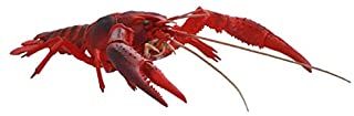 Fujimi Biology Edition Crayfish (Red) - BanzaiHobby