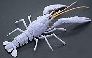 Fujimi Biology Edition Crayfish (White) - BanzaiHobby