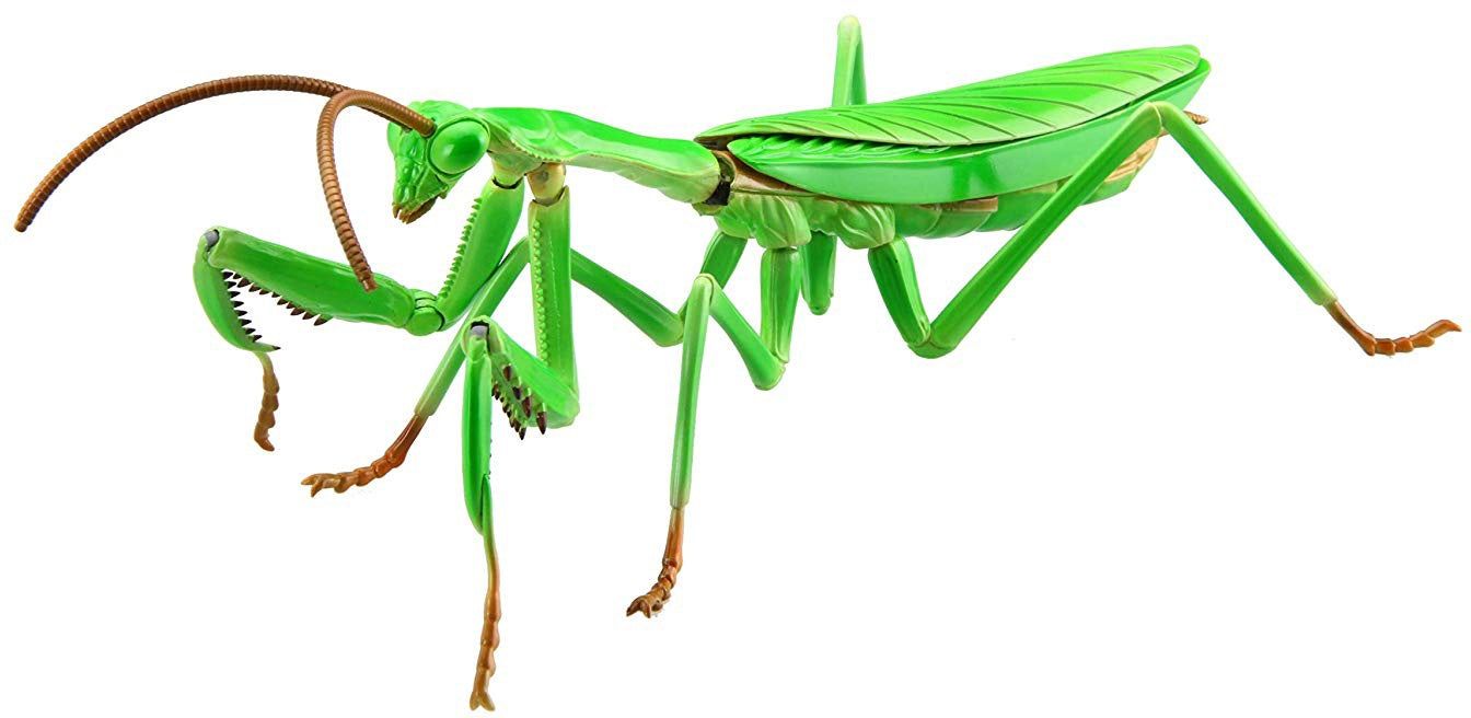 Fujimi Living Thing Arc: Tenodera Aridifolia (Japanese Giant Mantis) - BanzaiHobby