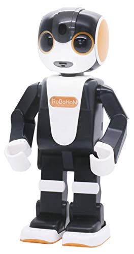 Fujimi Pla-Robohon Ver,2 - BanzaiHobby