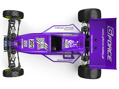 (PO SEP 2026) G-Force GK201 Genova 2WD Buggy Kit Carpet Edition