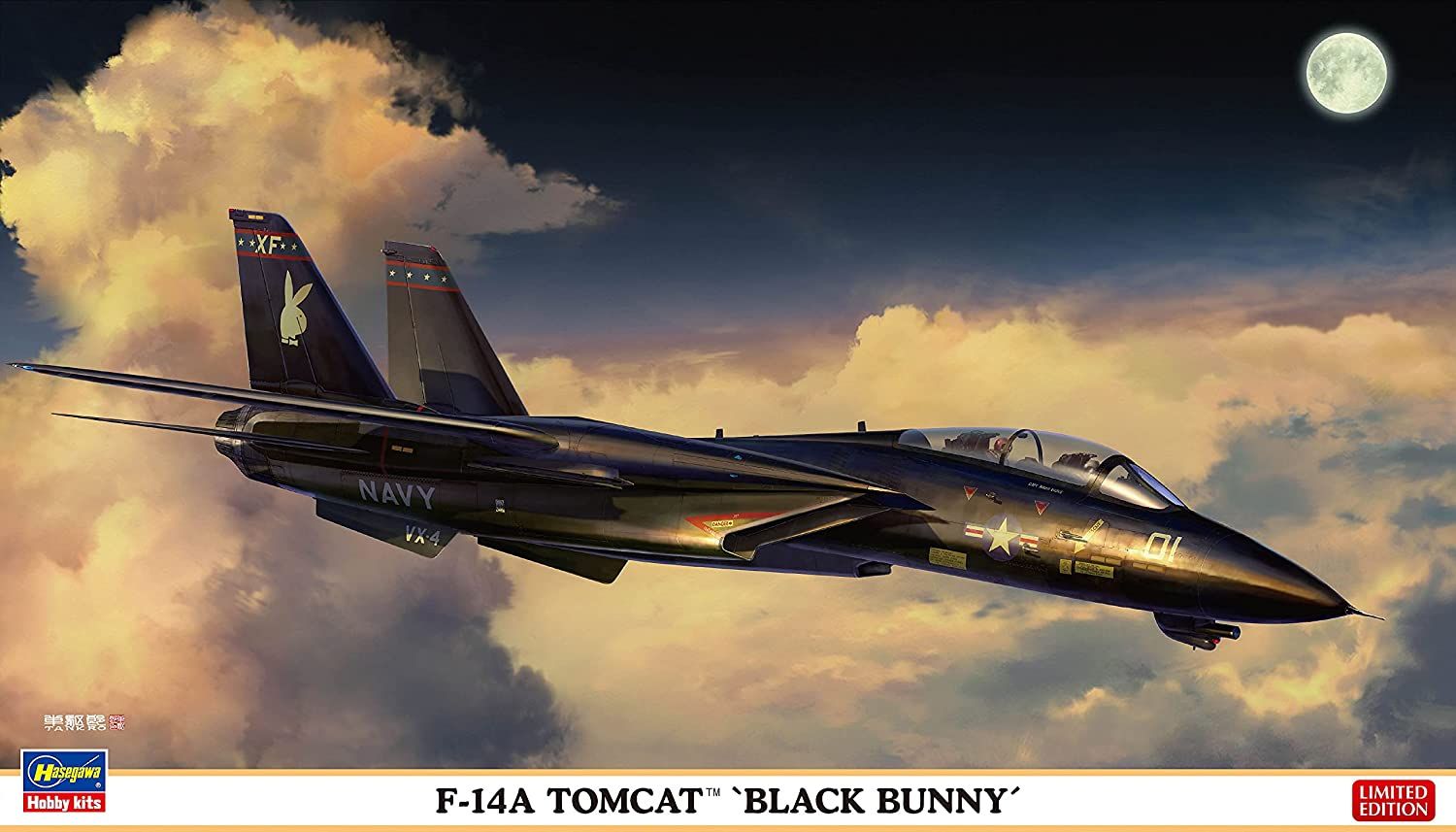 Hasegawa F-14AB Tomcat `Black Bunny` - BanzaiHobby