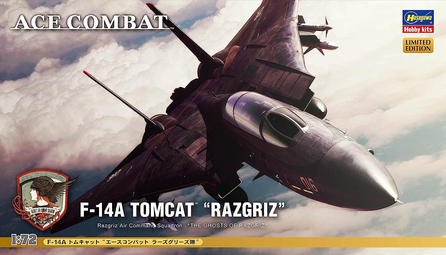 Hasegawa F-14A Tomcat `Ace Combat Razgriz Squadron` - BanzaiHobby